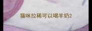 猫咪拉稀可以喝羊奶