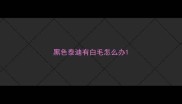 黑色泰迪有白毛怎么办