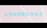 公高加索配拉布拉多