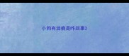 小狗有泪痕是咋回事