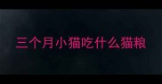 三个月小猫吃什么猫粮