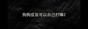 狗狗疫苗可以自己打嘛