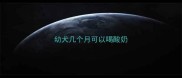 幼犬几个月可以喝酸奶