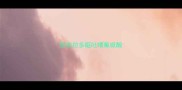拉布拉多呕吐喂氟哌酸