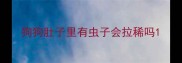 狗狗肚子里有虫子会拉稀吗