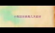 小狗冠状病毒几天能好