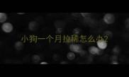 小狗一个月拉稀怎么办