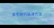 金毛缺钙输液方法