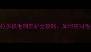 五个月大拉布拉多换毛期养护全攻略如何应对毛孩换毛困扰