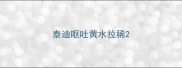 泰迪呕吐黄水拉稀
