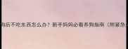母狗生小狗后不吃东西怎么办新手妈妈必看养狗指南附紧急处理方案