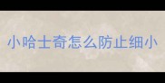 小哈士奇怎么防止细小