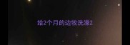 给2个月的边牧洗澡