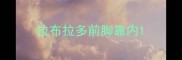 拉布拉多前脚靠内