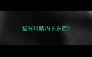 猫咪眼睛内长东西