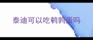 泰迪可以吃鹌鹑蛋吗