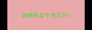 加纳利五个月几斤