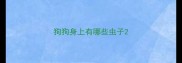 狗狗身上有哪些虫子