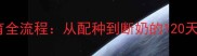 泰迪犬生育全流程从配种到断奶的120天发育周期