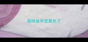 猫咪指甲变黑色了