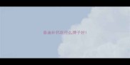 泰迪补钙吃什么牌子好