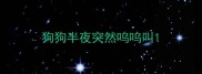 狗狗半夜突然呜呜叫