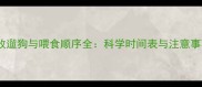边牧遛狗与喂食顺序全科学时间表与注意事项