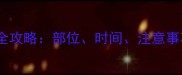 猫咪疫苗接种全攻略部位时间注意事项及常见误区
