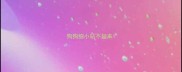 狗狗细小站不起来