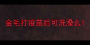 金毛打疫苗后可洗澡么