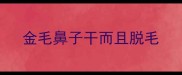 金毛鼻子干而且脱毛