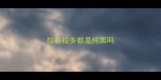 拉布拉多都是纯黑吗