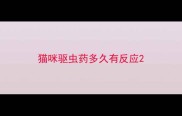猫咪驱虫药多久有反应