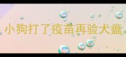 小狗打了疫苗再验犬瘟
