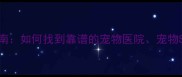 淮南宠物店推荐指南如何找到靠谱的宠物医院宠物SPA和宠物用品店