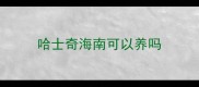 哈士奇海南可以养吗