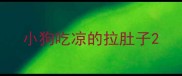 小狗吃凉的拉肚子