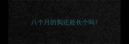 八个月的狗还能长个吗