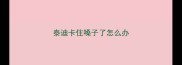 泰迪卡住嗓子了怎么办