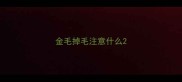金毛掉毛注意什么
