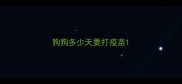 狗狗多少天要打疫苗