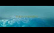 泰迪身上长棕色斑点