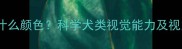 狗狗能看见什么颜色科学犬类视觉能力及视力维护指南