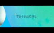 吓到小狗然后呕吐