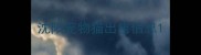 沈阳宠物猫出售信息