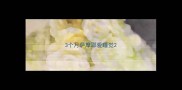 3个月萨摩耶爱睡觉