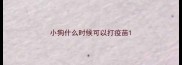 小狗什么时候可以打疫苗