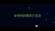 宠物狗到哪里打疫苗