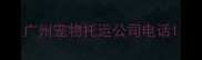 广州宠物托运公司电话