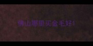 佛山哪里买金毛好